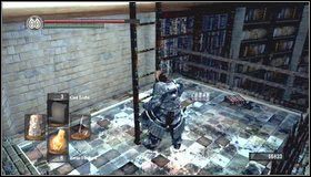 Po wybiciu najbliższych ośmiornic możemy udać się pod górę i wspiąć na drabinę - The Dukes Archives - Więzienie | Opis przejścia Dark Souls - Dark Souls - poradnik do gry