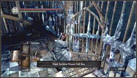 8 - The Dukes Archives - Więzienie | Opis przejścia Dark Souls - Dark Souls - poradnik do gry