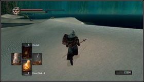 3 - Bonus- Ash Lake | Opis przejścia Dark Souls - Dark Souls - poradnik do gry