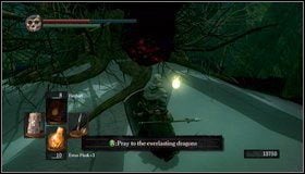 Ciekawostka - możemy bezkarnie obciąć ogon smoka (bestia nas nie zaatakuje i nie zerwiemy przymierza z nią) - Bonus- Ash Lake | Opis przejścia Dark Souls - Dark Souls - poradnik do gry
