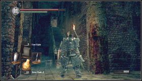 6 - Bonus- Painted World of Ariamis (2) | Opis przejścia Dark Souls - Dark Souls - poradnik do gry