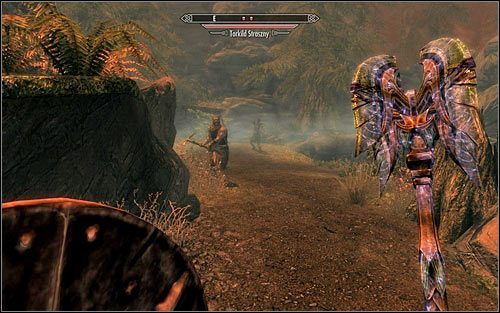 Kontynuuj przeprawę przez tę lokację - Wariant A - Współpraca z Sindingiem | Księżycowa choroba | Solucja Skyrim - Skyrim - poradnik, mapy, questy