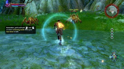 Bestie znajdziesz w zachodniej części lasu M10(5) - Cradle of Summer | Zadania poboczne w Kingdoms of Amalur Reckoning - Kingdoms of Amalur: Reckoning - poradnik do gry