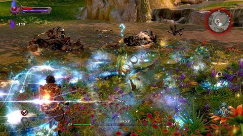 Jeśli jacyś przeciwnicy sprawią ci większe problemy, pamiętaj o skorzystaniu z trybu reckoning - Cradle of Summer | Zadania poboczne w Kingdoms of Amalur Reckoning - Kingdoms of Amalur: Reckoning - poradnik do gry