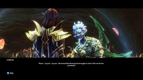 Twoim drugim zadaniem jest odszukać zatrutego Fae o imieniu Cadoroc - Drowned Forest (1) | Zadania poboczne w Kingdoms of Amalur Reckoning - Kingdoms of Amalur: Reckoning - poradnik do gry