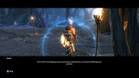 Po śmierci wroga opuść obóz Tuatha i porozmawiaj ze stojącym za barykadą Aluckiem - Twilight Pass (1) | Zadania poboczne w Kingdoms of Amalur Reckoning - Kingdoms of Amalur: Reckoning - poradnik do gry