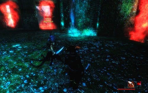Podłe sztuczki działają bardzo krótko! - Zabij Marę | Zadania - Świątynia Wody | Risen 2 Mroczne Wody - Risen 2: Mroczne wody - poradnik do gry