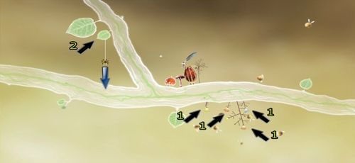 Znajdziemy tu pozostałe gałązki (1) potrzebne do zdobycia [KARTA nr 2] - wystarczy kliknąć je tyle razy, by wypuściły kwiaty - Etap pierwszy - piórka | Opis przejścia - Botanicula - Botanicula - poradnik do gry