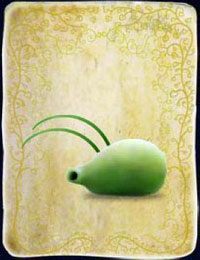 [KARTA nr 3] - Etap I - piórka | Lista kart - Botanicula - Botanicula - poradnik do gry