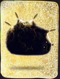 [KARTA nr 11] - Etap I - piórka | Lista kart - Botanicula - Botanicula - poradnik do gry