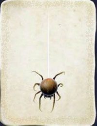 [KARTA nr 54] - Etap IV - kasztanki | Lista kart - Botanicula - Botanicula - poradnik do gry