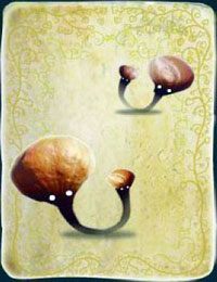 [KARTA nr 85] - Etap VI - symbole żywiołów (1) | Lista kart - Botanicula - Botanicula - poradnik do gry