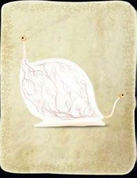 [KARTA nr 99] - Etap VI - symbole żywiołów (1) | Lista kart - Botanicula - Botanicula - poradnik do gry