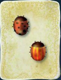 [KARTA nr 104] - Etap VI - symbole żywiołów (2) | Lista kart - Botanicula - Botanicula - poradnik do gry