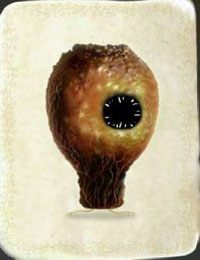 [KARTA nr 109] - Etap VI - symbole żywiołów (2) | Lista kart - Botanicula - Botanicula - poradnik do gry