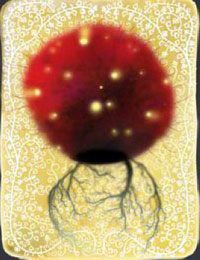 [KARTA nr 118] - Etap VI - symbole żywiołów (2) | Lista kart - Botanicula - Botanicula - poradnik do gry