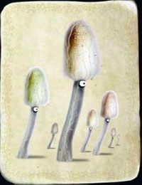 [KARTA nr 12] - Etap II - klucze | Lista kart - Botanicula - Botanicula - poradnik do gry