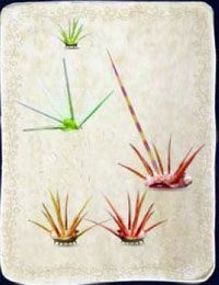 [KARTA nr 19] - Etap II - klucze | Lista kart - Botanicula - Botanicula - poradnik do gry