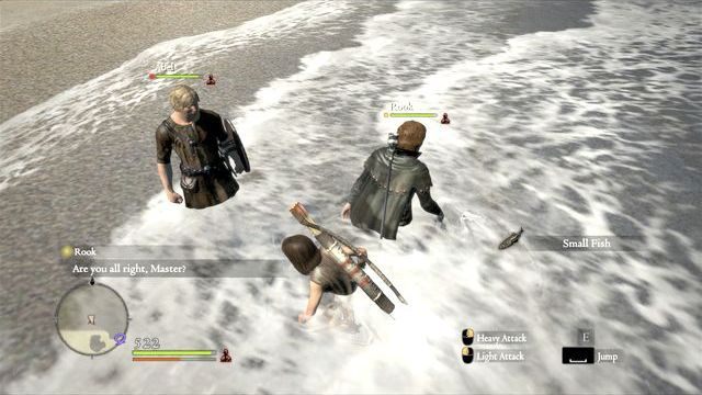 Możesz łowić ryby gołymi rękami, w czynności tej pomogą ci pionki - Informacje podstawowe w Dragons Dogma | Pionki (Pawns) - Dragons Dogma - poradnik do gry
