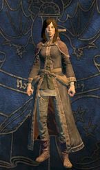 Mage - Klasy w Dragons Dogma | Postać i rozwój - Dragons Dogma - poradnik do gry