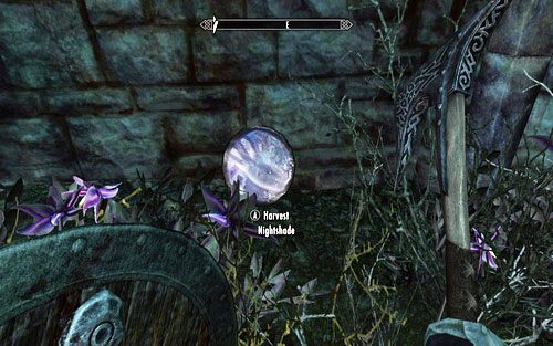 Pierwszy znajdziesz w krzakach za ogrodzeniem (na prawo do zegara) - Chasing Echoes | Ścieżka Dawnguarda | The Elder Scrolls V Skyrim Dawnguard - The Elder Scrolls V: Skyrim - Dawnguard - poradnik do gry