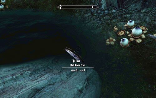 Trzeci wrzucony został do ogrodowej sadzawki - Chasing Echoes | Ścieżka Dawnguarda | The Elder Scrolls V Skyrim Dawnguard - The Elder Scrolls V: Skyrim - Dawnguard - poradnik do gry