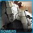 1 - Sowers - Rasy - Endless Space - poradnik do gry