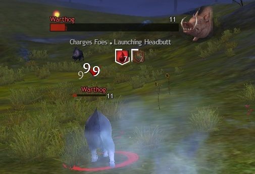 Nasz przeciwnik daleko nie ucieknie - za chwile wykrwawi się na śmierć. - Obrażenia w Guild Wars 2 | Podstawy rozgrywki - Guild Wars 2 - poradnik