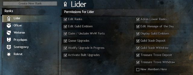 Prawidłowe ustawienie zezwoleń znacznie ułatwia kontrolę nad gildią. - Organizacja gildii | Gildie w Guild Wars 2 - Guild Wars 2 - poradnik