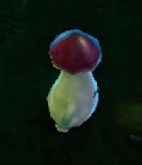 Mycon Pygmy - Fungal Caves | Przeciwnicy w Torchlight II - Akt III - Torchlight 2 - poradnik do gry