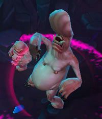 Trog Celebrite - Middenmine | Przeciwnicy w Torchlight II - Akt III - Torchlight 2 - poradnik do gry