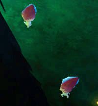 Myconite - Elemental Oasis | Przeciwnicy w Torchlight II - Akt III - Torchlight 2 - poradnik do gry