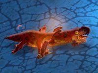 Salamander - The Salt Barrens | Przeciwnicy w Torchlight II - Akt II - Torchlight 2 - poradnik do gry