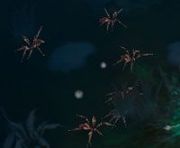 Spiderling - Crows Pass | Przeciwnicy w Torchlight II - Akt I - Torchlight 2 - poradnik do gry