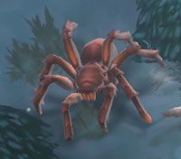 Blackfang Arachnos - Crows Pass | Przeciwnicy w Torchlight II - Akt I - Torchlight 2 - poradnik do gry