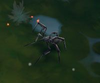 Cave Dasher - The Widows Veil | Przeciwnicy w Torchlight II - Akt I - Torchlight 2 - poradnik do gry