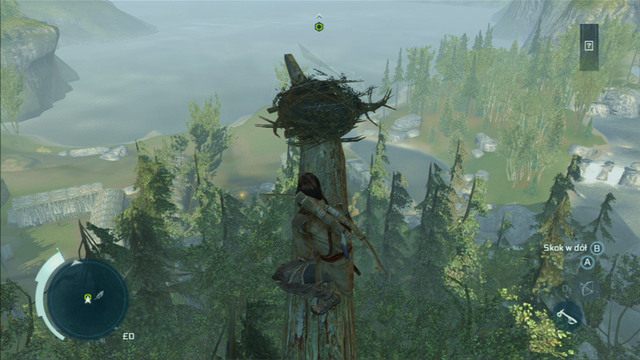 Pióra to znajdźki, z którymi zetkniesz się podczas 4 sekwencji gry - Pióra | Znajdźki w Assassins Creed 3 - Assassins Creed 3 - poradnik do gry