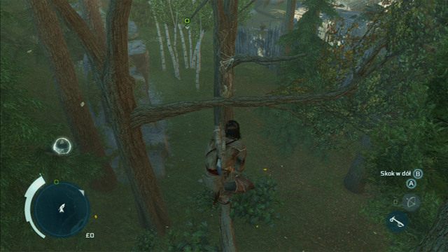 Stamtąd możesz doskoczyć również do drugiego pióra - Sekwencja 4 - Pióra i drzewa | Solucja Assassins Creed 3 - Assassins Creed 3 - poradnik do gry