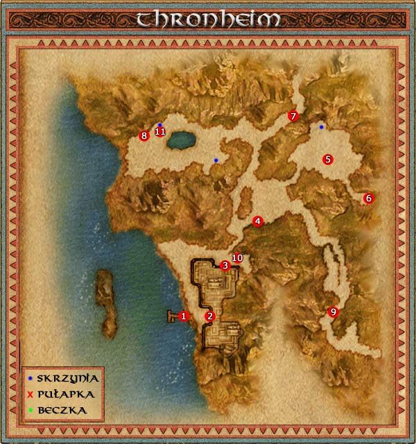 1 - Thronheim | Might & Magic IX Writ of Fate - Might & Magic IX: Writ of Fate - poradnik do gry