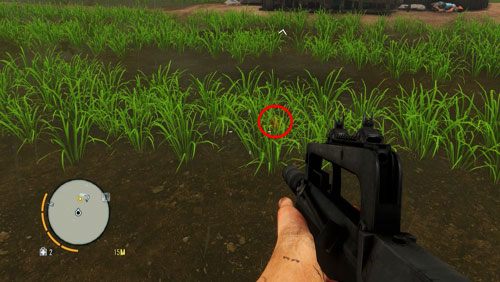 Problemy zaczną się kiedy dojedziesz do miejsca porośniętego trawą - Człowiek zwany Hoytem | Misje główne w Far Cry 3 - Far Cry 3 - poradnik do gry