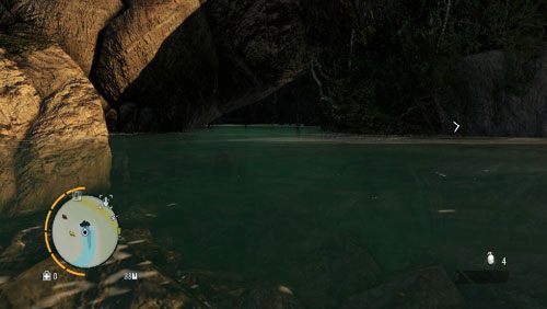 Przed przyjściem w to miejsce przygotuj miksturę Głębinowiec - Wyspa południowa (południowy wschód) | Przedmioty kultu (ukryte przedmioty) - Far Cry 3 - poradnik do gry