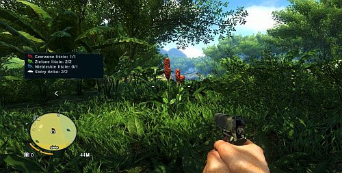 Oprócz dwóch skór z dzika, musisz również zebrać dwie zielone oraz po jednej niebieskiej i czerwonej roślinie - Żniwa w dżungli | Misje główne w Far Cry 3 - Far Cry 3 - poradnik do gry