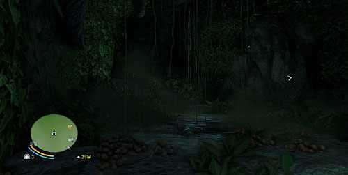 Wypłyń na powierzchnię i po pnączu wejdź na półkę skalną - Grzyby w głębi | Misje główne w Far Cry 3 - Far Cry 3 - poradnik do gry