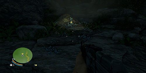 Kiedy zaczną się halucynacje, wciąż podążaj przed siebie - Grzyby w głębi | Misje główne w Far Cry 3 - Far Cry 3 - poradnik do gry