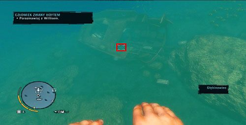 Pod wodą zobaczysz wrak statku, do którego wpłyń - Wyspa północna (południowy zachód) | Przedmioty kultu (ukryte przedmioty) - Far Cry 3 - poradnik do gry
