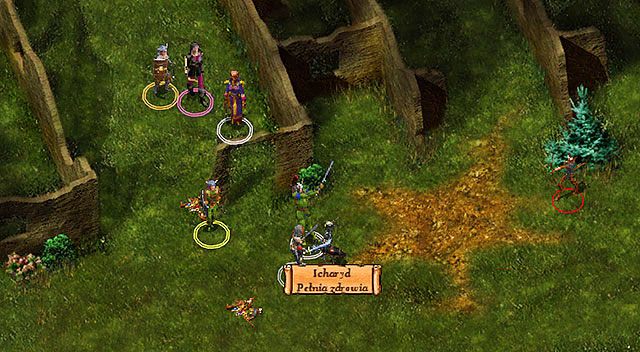 Oprócz samego nauczyciela, po ruinach krąży jeszcze jeden upiór, Icharyd [D], który zaczepi Cię i po krótkiej wymiane zdań zaatakuje - Duch Ulcastera | Rozdział 3 - zadania poboczne | Solucja Baldurs Gate - Baldurs Gate: Enhanced Edition - poradnik do gry