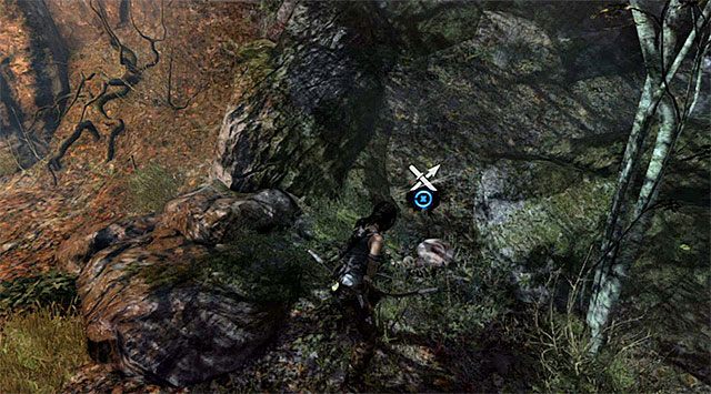 GRZYB 3/10 - Grzybobranie | Sekrety - Summit Forest (Las na szczycie) | Sekrety Tomb Raider - Tomb Raider - poradnik do gry