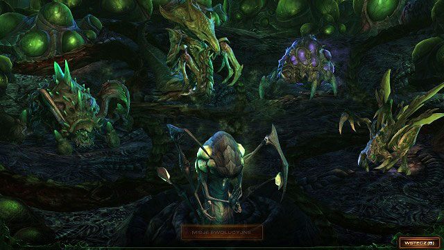 W kampanii dosyć szybko odblokujemy statek kosmiczny zergów Lewiatan, na pokładzie którego znajdziemy kilka interesujących pomieszczeń - Informacje podstawowe | StarCraft II Heart of the Swarm - StarCraft II: Heart of the Swarm - poradnik do gry