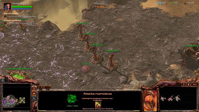 Misję powinniśmy rozpocząć od przekształcenia kilku larw w robotnice oraz wybudowania niecki rozrodczej - Rendez-vous | Kampania - Misje umojańskie | StarCraft II Heart of the Swarm - StarCraft II: Heart of the Swarm - poradnik do gry
