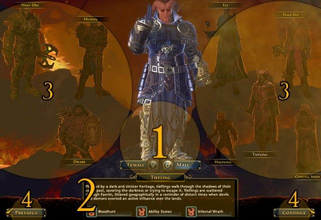 Zaznaczone elementy na zrzucie ekranu to - Tworzenie Postaci w Neverwinter | Pierwsze kroki - Neverwinter - poradnik do gry